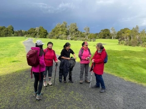 Image of totarapark21d.jpg