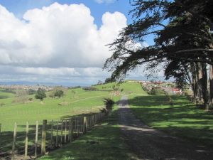 Image of totaraparksep11agtrack.jpg