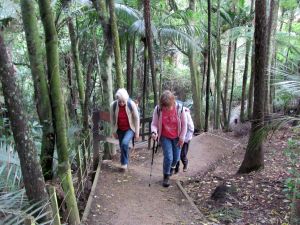 Image of totaraparksep11dbtrack.jpg