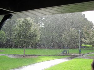 Image of totaraparksep11eesunshine.jpg