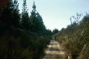 Image of tracktoketetahimillq.jpg