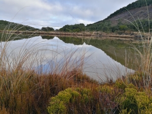 Image of turoajun21a.jpg