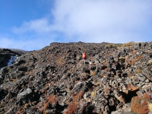 Image of turoajun21b.jpg