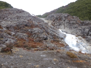 Image of turoajun21f.jpg