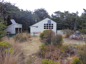 Image of turoajun21g.jpg