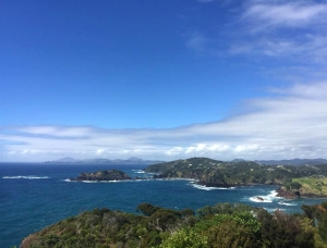 Image of tutukakajan18b.jpg