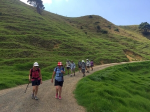 Image of tutukakajan18f.jpg