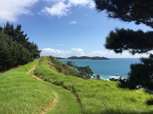 Image of tutukakajan18j.jpg