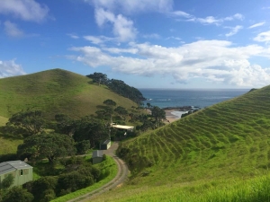 Image of tutukakajan18k.jpg