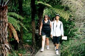 Image of unsworth03boardwalk.jpg