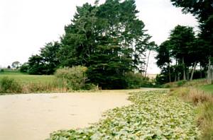 Image of unsworth03stpatrickslake.jpg