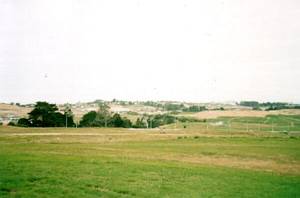 Image of unsworth03summitpaddocks.jpg