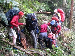 Image of uru09crossingawindfall.jpg