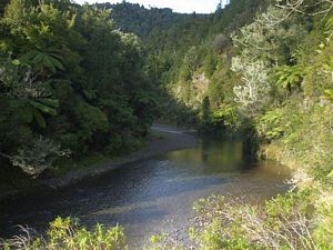 Image of uru09pakihiriver.jpg