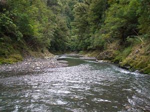 Image of uru09pakihirivernearhut1.jpg