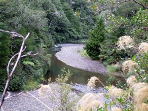 Image of uru09tewaitiriver.jpg