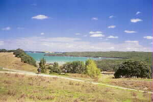 Image of viewofislingtonbayq.jpg