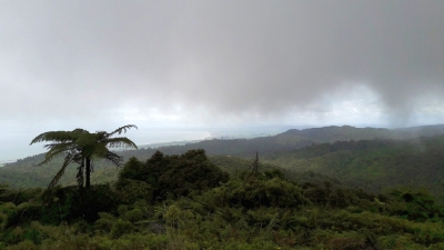 Image of waharaufeb182.jpg