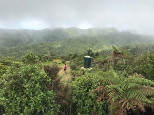 Image of waharaufeb184.jpg