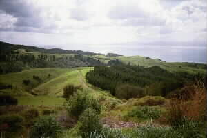 Image of waharaulookout3q.jpg