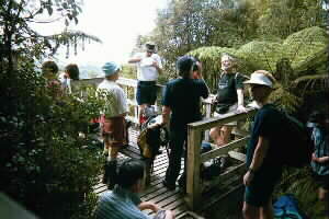 Image of waharaulookoutq.jpg