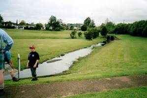 Image of waiatarua02abbottsstream.jpg