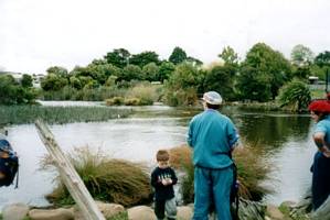 Image of waiatarua02michaelslake.jpg