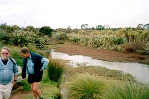 Image of waiatarua02wetland2.jpg