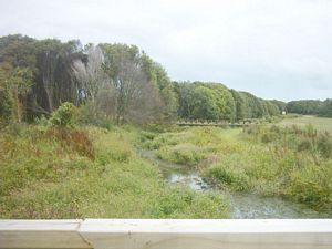 Image of waiataruafeb05afterlunch.jpg