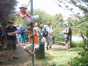 Image of waiataruafeb05michaelspondstop.jpg