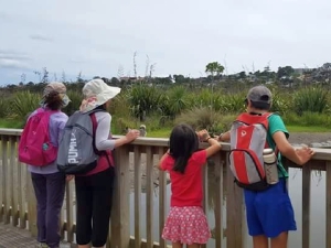 Image of waiataruamar18b.jpg