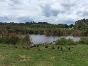 Image of waiataruamar18k.jpg