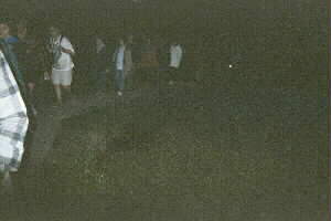 Image of waiataruaniteboardwalkq.jpg