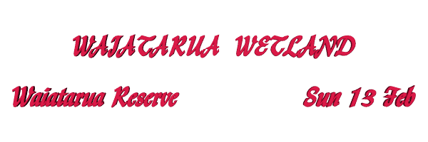 Image of waiataruawetland.gif