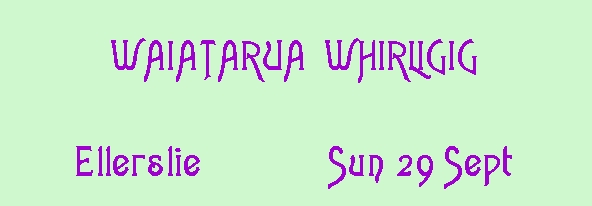 Image of waiataruawhirligig.jpg