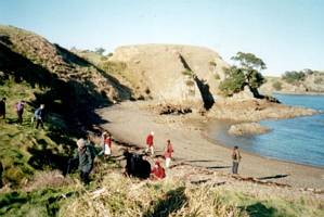 Image of waiheke03firstcove.jpg