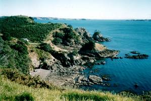 Image of waiheke03islandbay.jpg