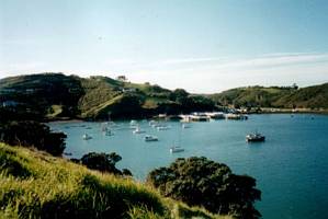 Image of waiheke03matiatiaam.jpg