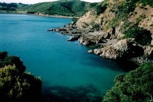 Image of waiheke03owhanakebay2.jpg