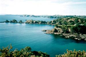 Image of waiheke03viewonetangi.jpg