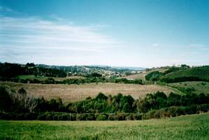 Image of waiheke03viewvineyards.jpg