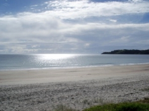 Image of waiheke14b.jpg