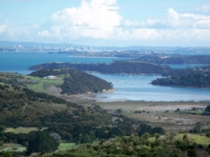 Image of waiheke14c.jpg