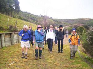 Image of waihekejul06aesettingout.jpg