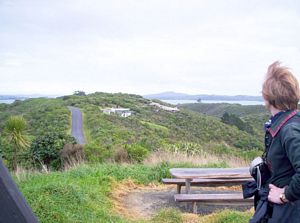 Image of waihekejul06ahtrigwest.jpg