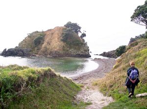 Image of waihekejul06alislandbay.jpg