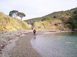 Image of waihekejul06anislandbay.jpg