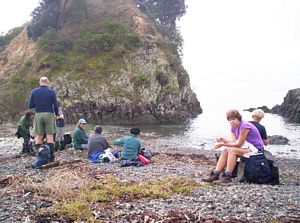 Image of waihekejul06apelevenses.jpg