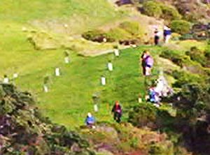 Image of waihekejul06bacloseup.jpg