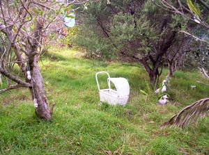 Image of waihekejul06bdperambulator.jpg